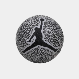 jordan skills 2.0 graphic wolf