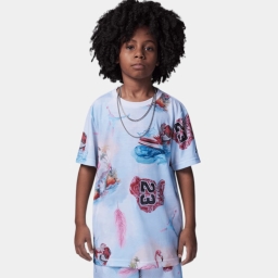 jordan flamingo aop ss