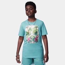 футболка mj flt ess poolside jm s